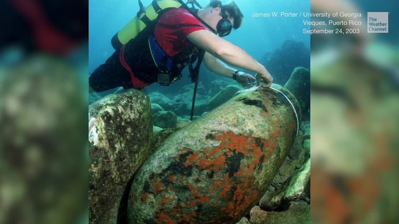 Could Oil & Gas Exploration Release Radioactive Material from Seafloor?