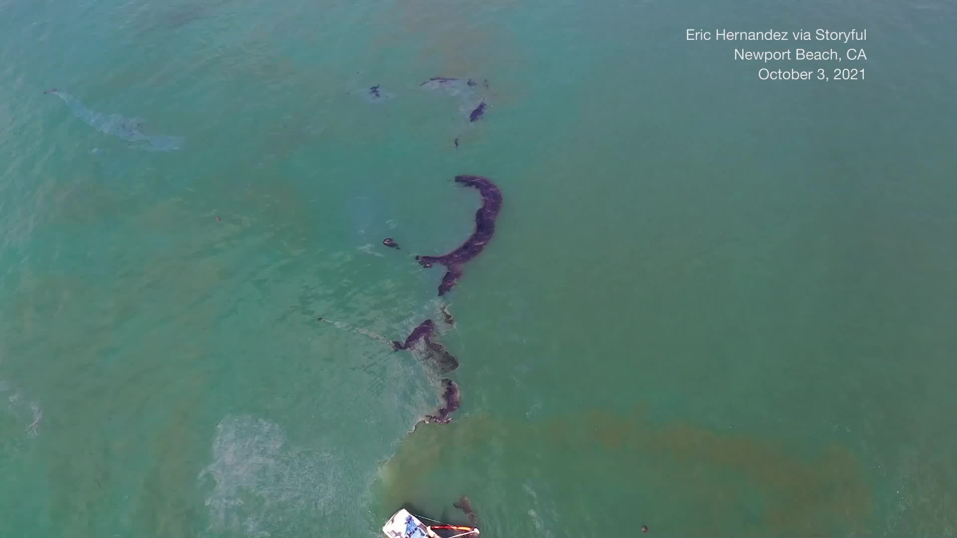 Crews Race to Save Wildlife from Oil Spill in California