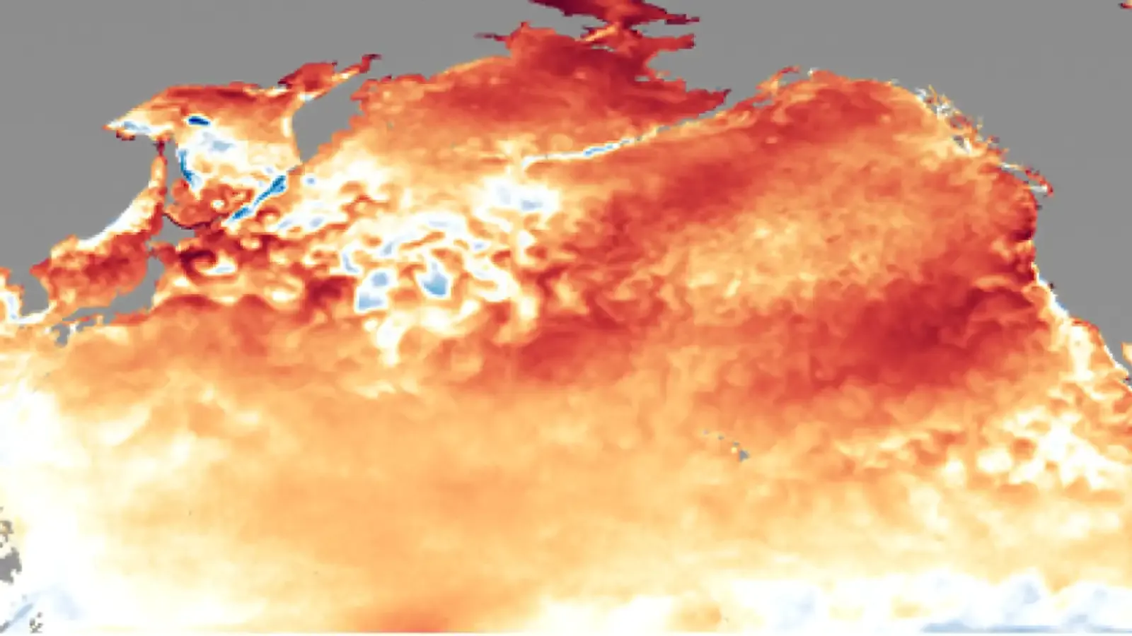 Sea Surface Temperatures 2019