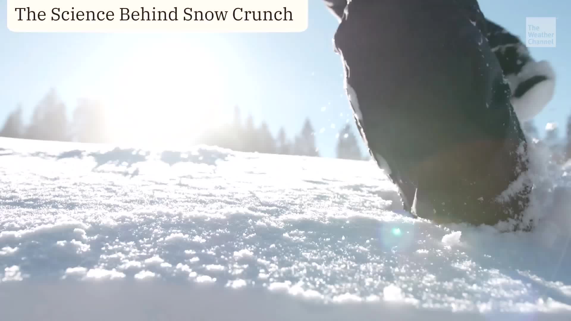 Crunch! The Science Behind Snow's Satisfying Sound