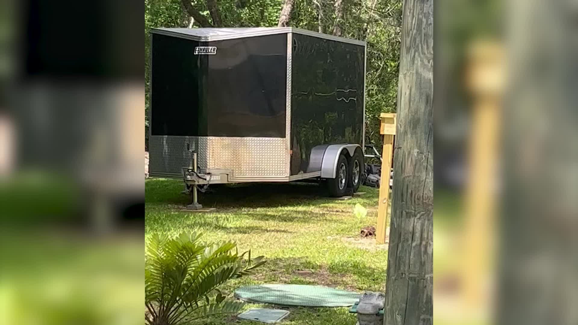 Dad Mows Lawn With Cat In Tow