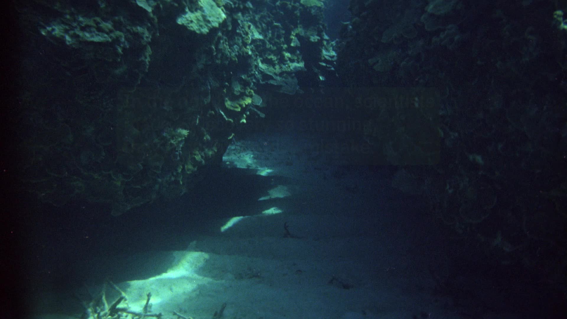 &lsquo;Dark Oxygen&rsquo; May Change What We Know About Origins Of Life