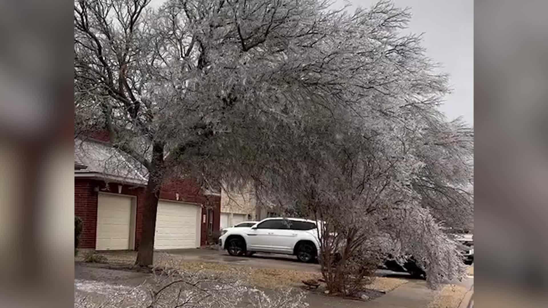 Deadly Ice Storm Brings Down Trees, Leaves Hundreds Of Thousands Without Power In Texas