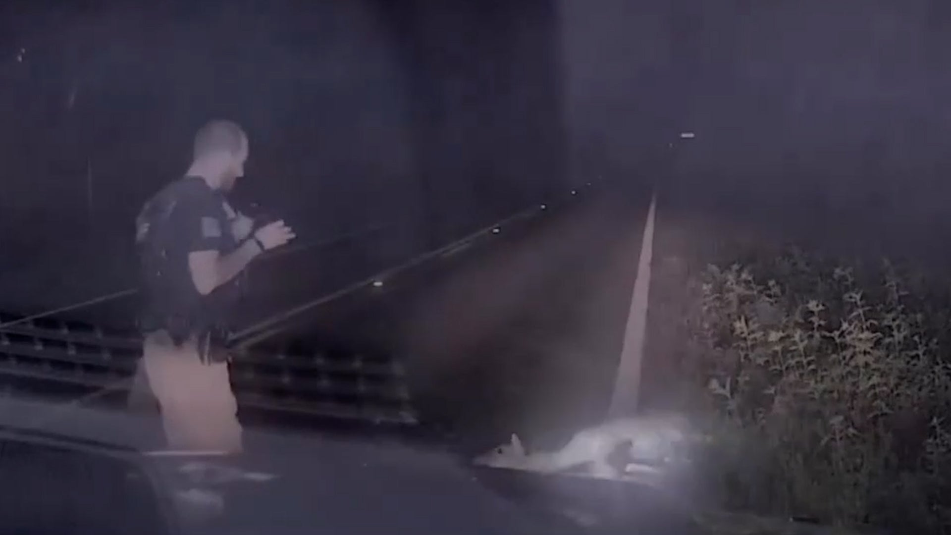 Watch: Hilarious jump scare for deputy as &lsquo;dead&rsquo; deer comes to life