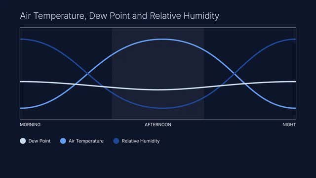 Dew point vs relative humidity explained