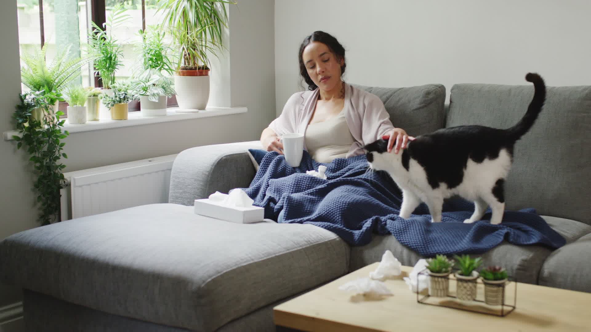 Did You Give Your Cat COVID-19?