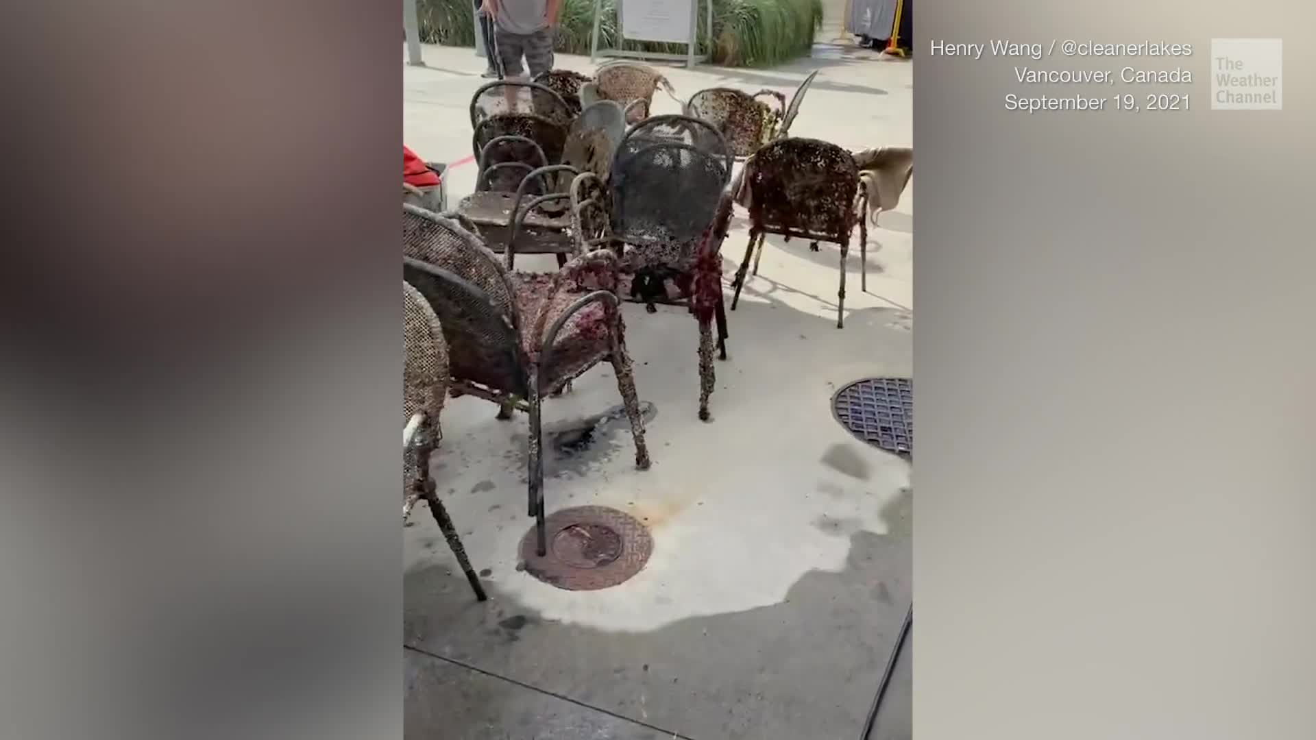 Disgusting Trash Haul During Vancouver Ocean Cleanup