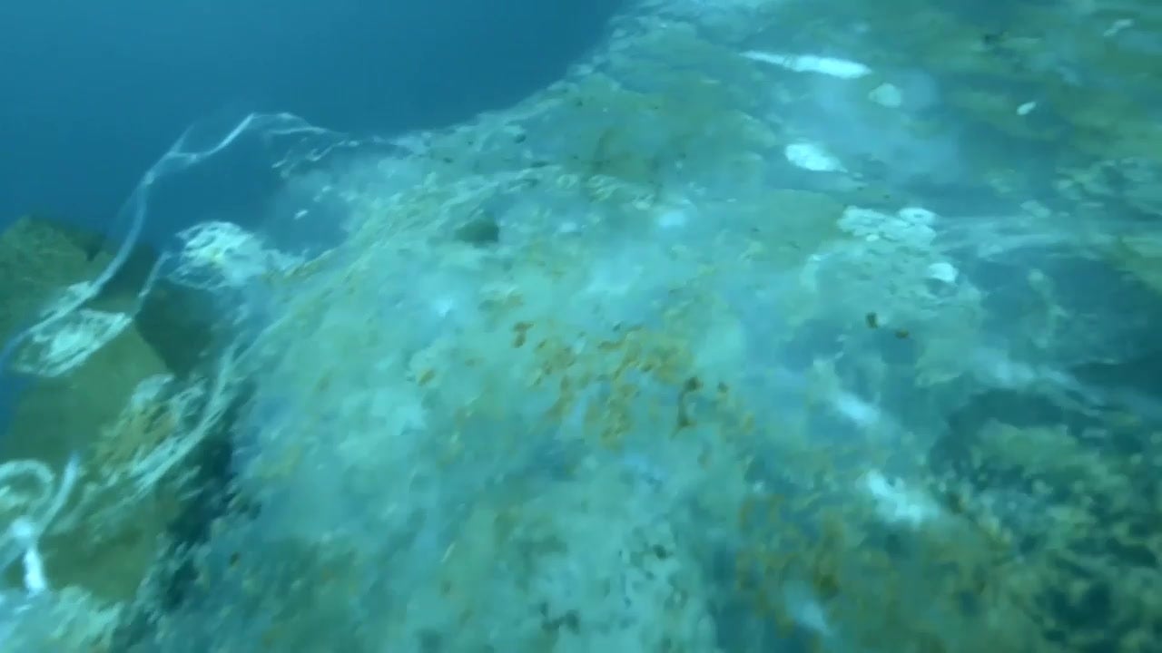 Diving Under Arctic Ice in Greenland