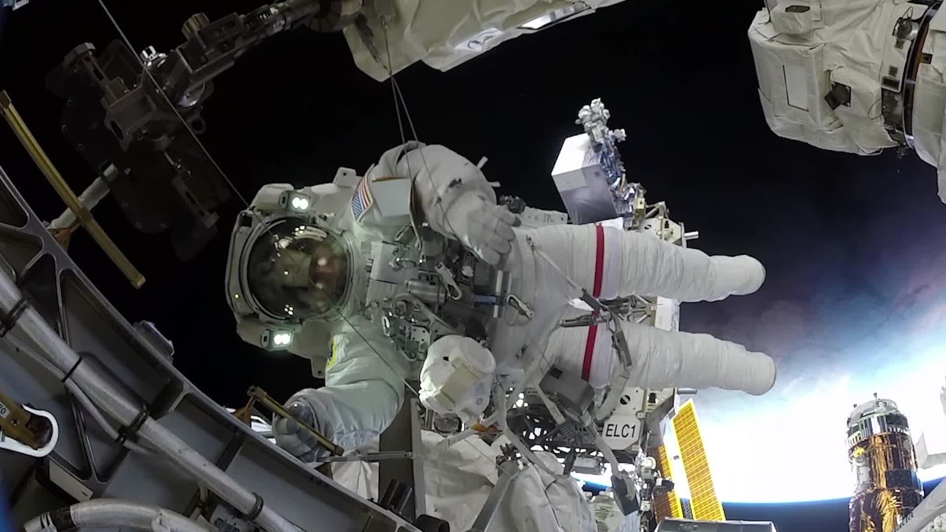DNA Mutations Found In Astronauts' Blood