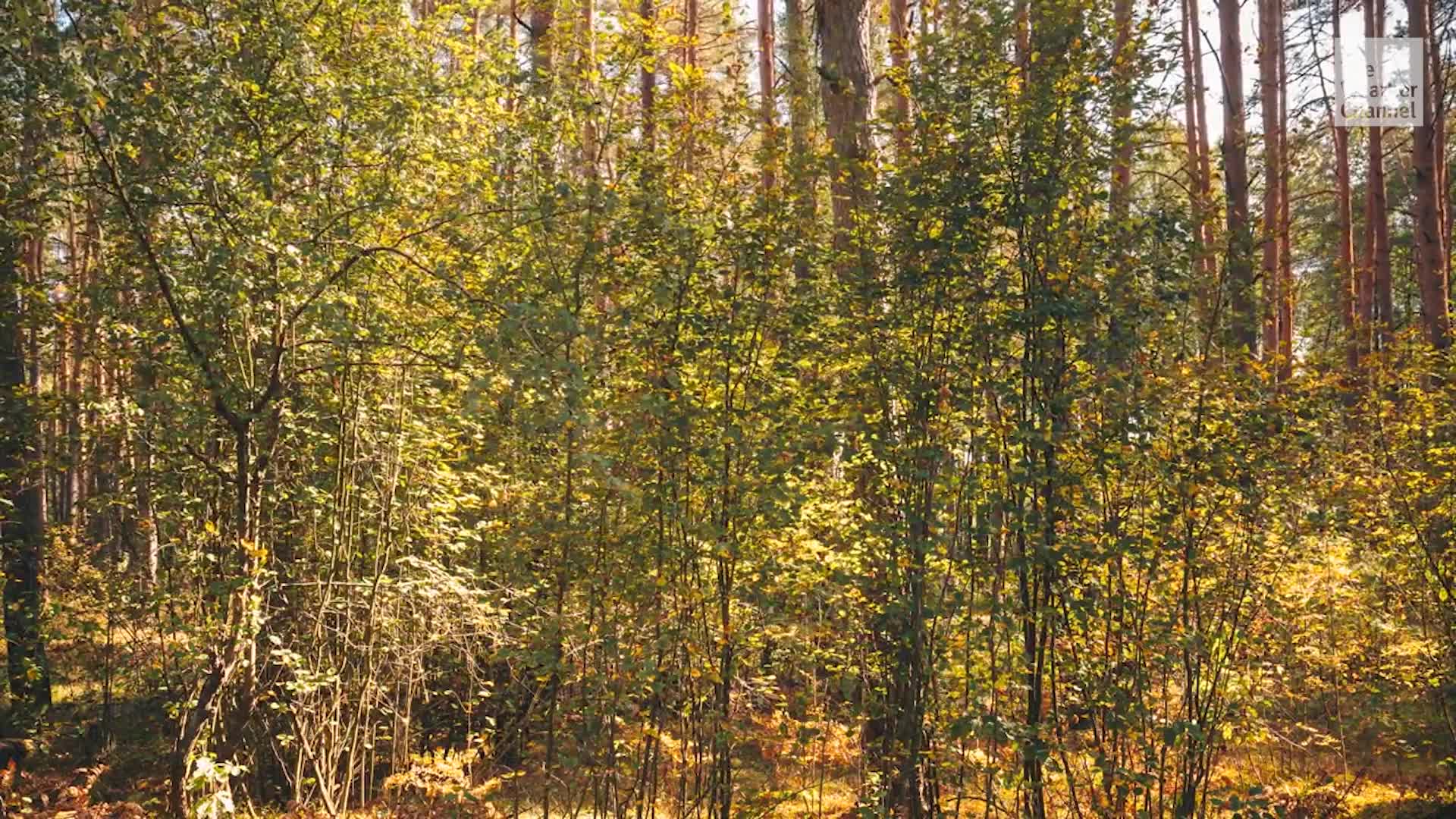Does Fall Weather Mean You Can Skip The Sunscreen?