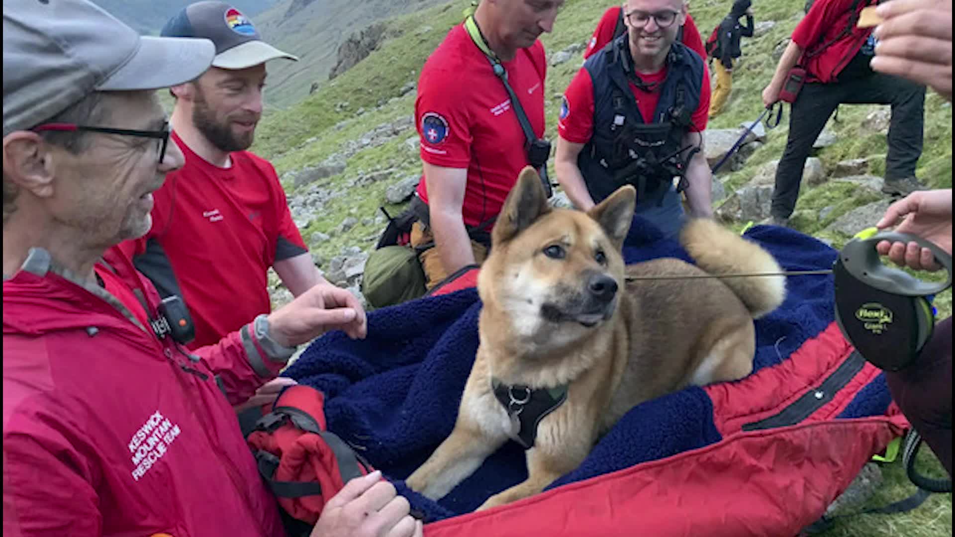 Dog Rescued After Hiking England’s Highest Peak