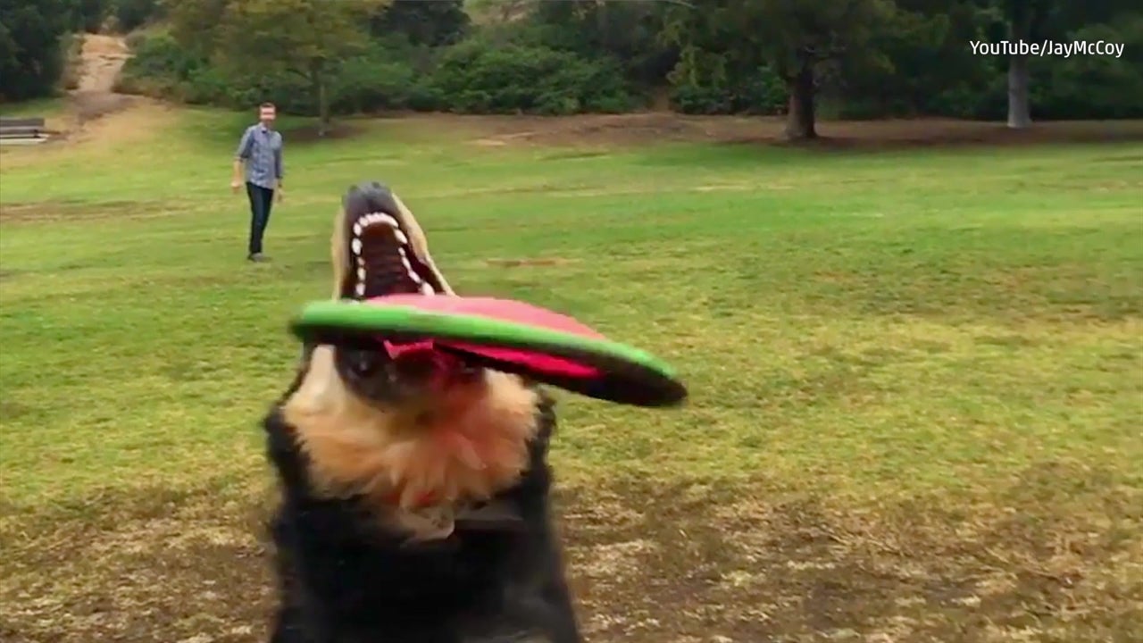 Dog Tackles Girl In Slo-Mo