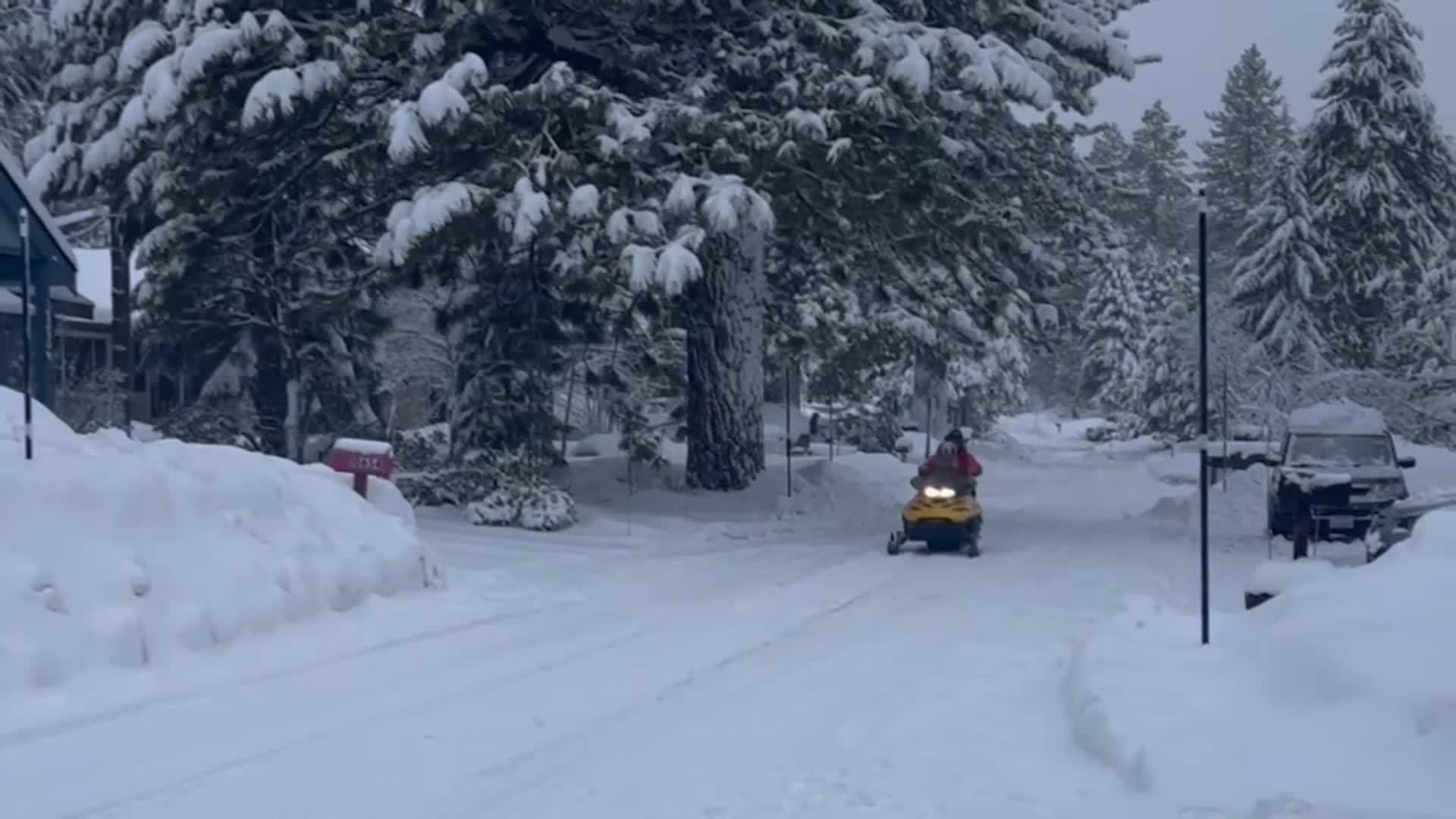 Dogs Play In Heavy Snow Amid California Blizzard
