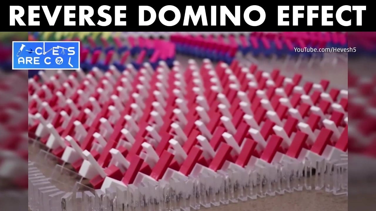 Domino Enthusiast Demonstrates Reverse Effect