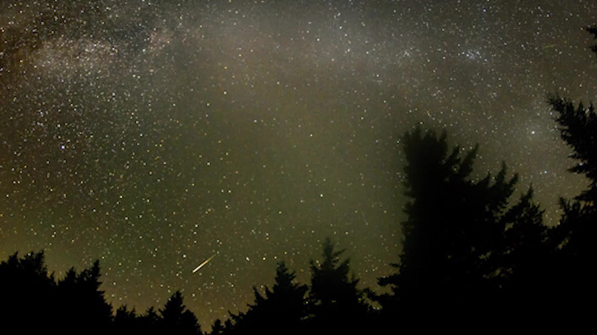 Don’t Miss Your Chance To See The Peak Of This Prolific Meteor Shower