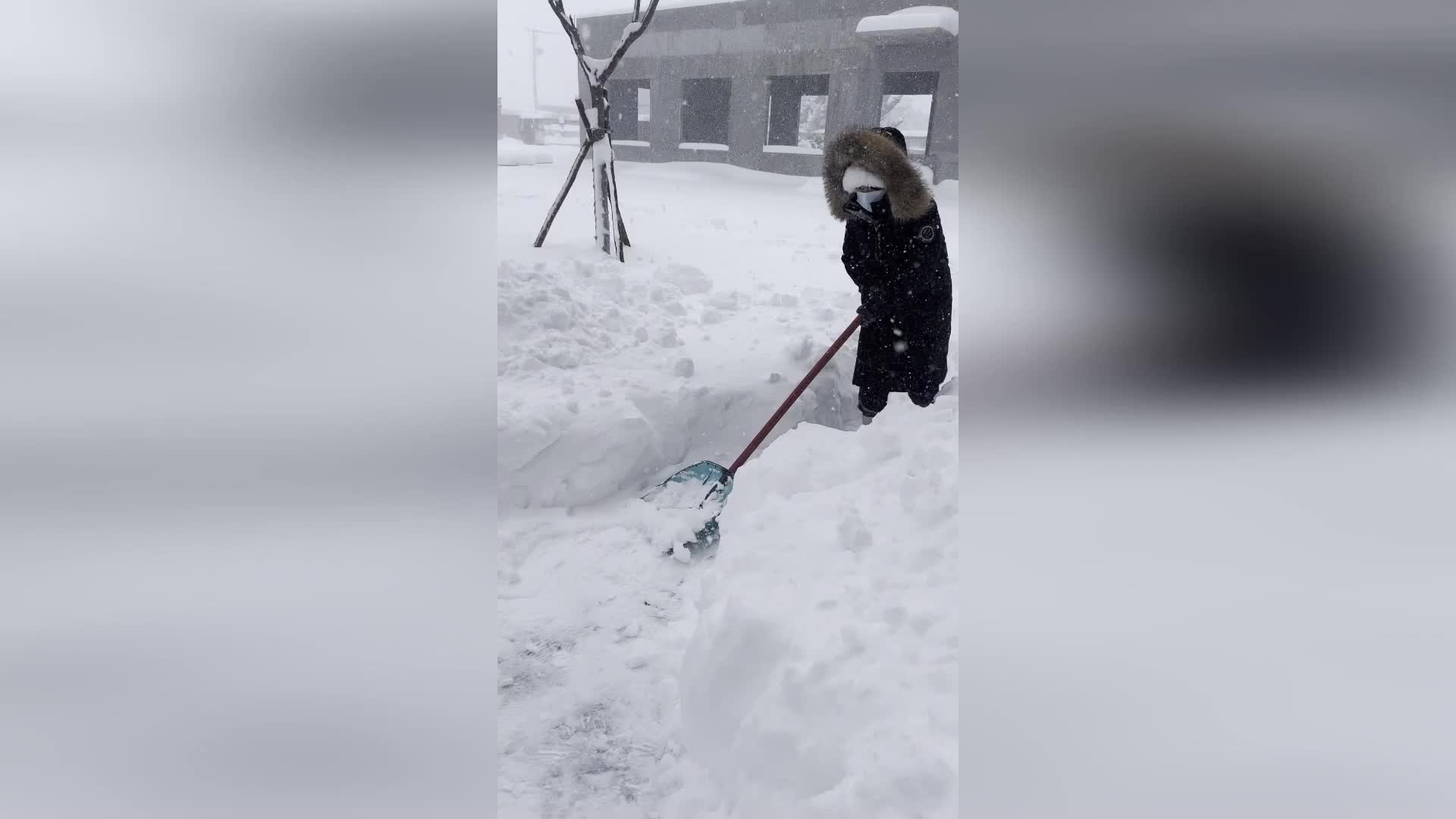 Drivers Try To Dig Out Cars Buried In Snow