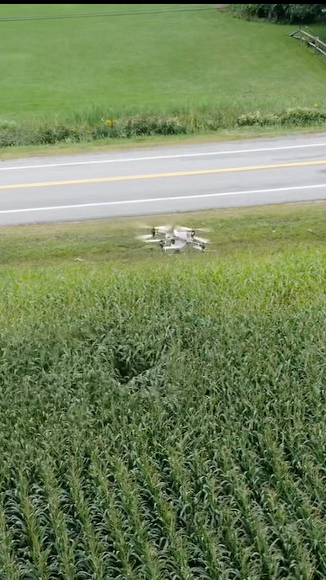 Drone&rsquo;s mini &lsquo;tornado&rsquo; saves crops