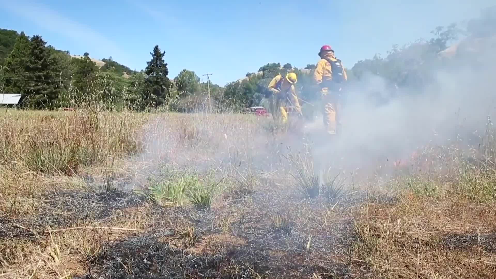 Drought Creates a New Kind of Crime: Artificial Turf Thieves