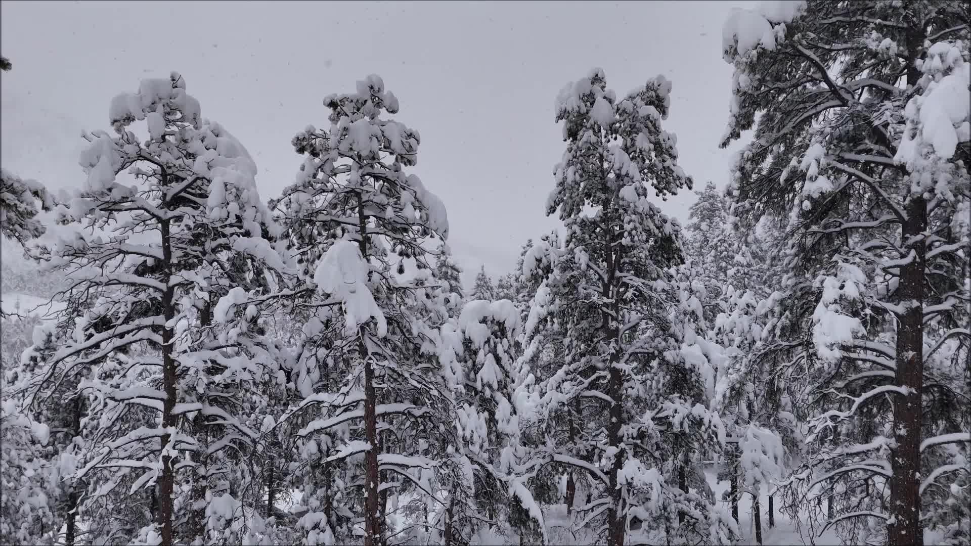 During and After: Storm Drops Feet Of Snow In Colorado