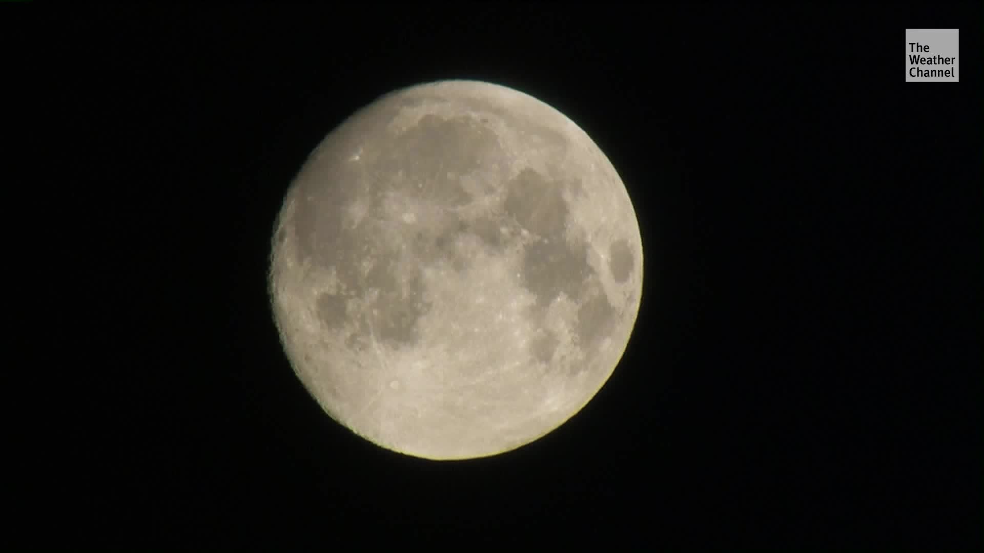 Earth’s Mini-Moon Left Us for the Sun