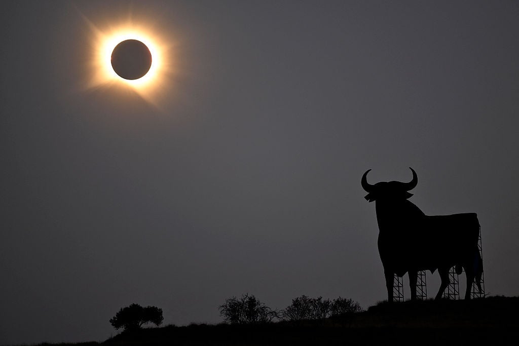 Total solar eclipse glowing above a silhouetted hillside with an iconic Osborne bull billboard