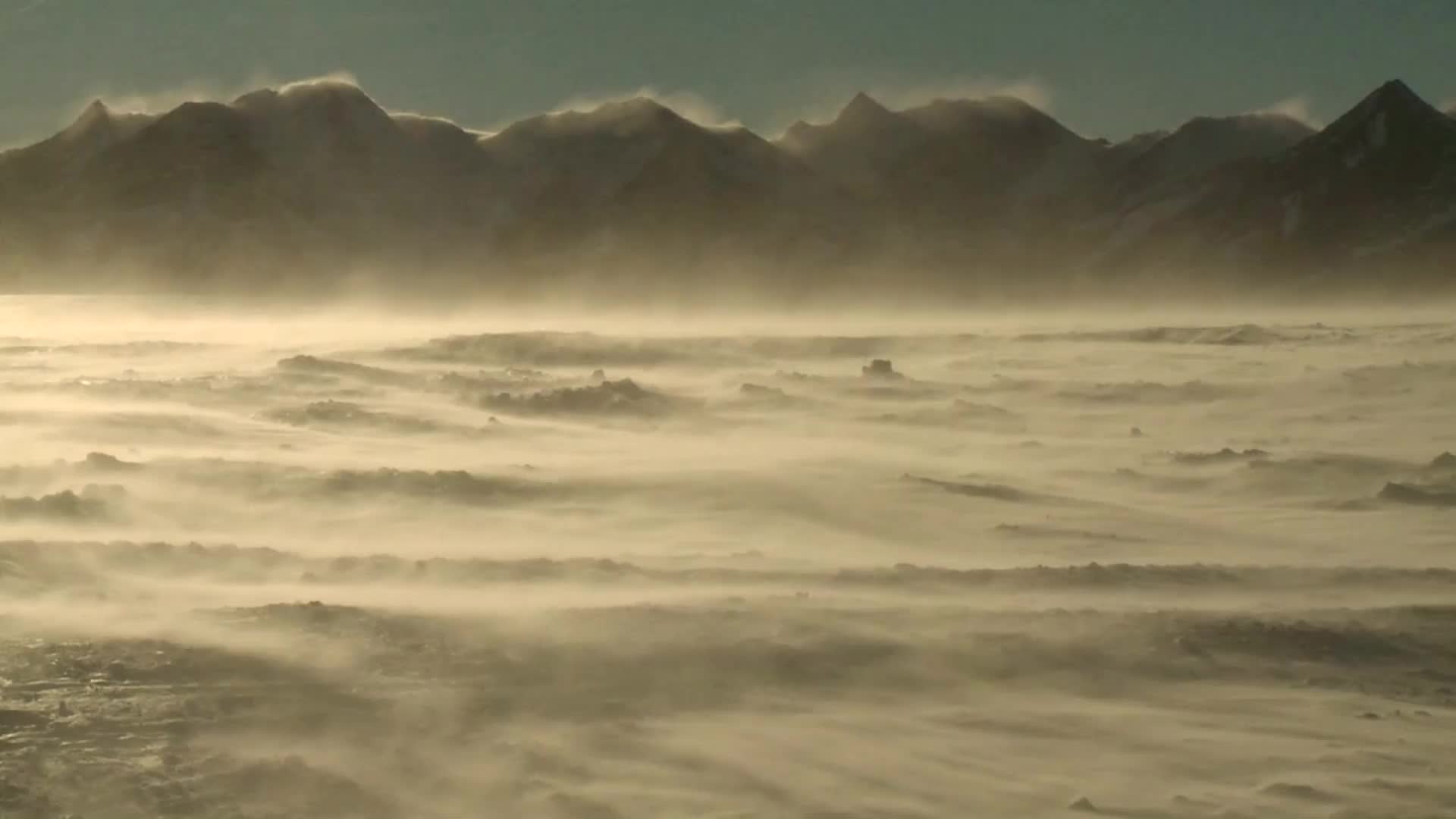 Ecosystem Found 1,600' Beneath Antarctic Ice Shelf
