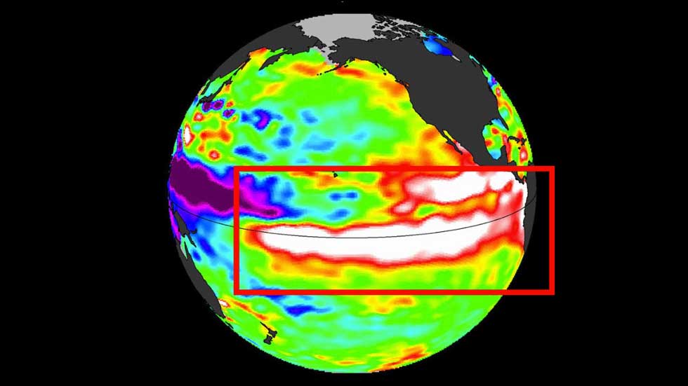 El Niño Kills Enough Trees in Amazon to Cover Wisconsin
