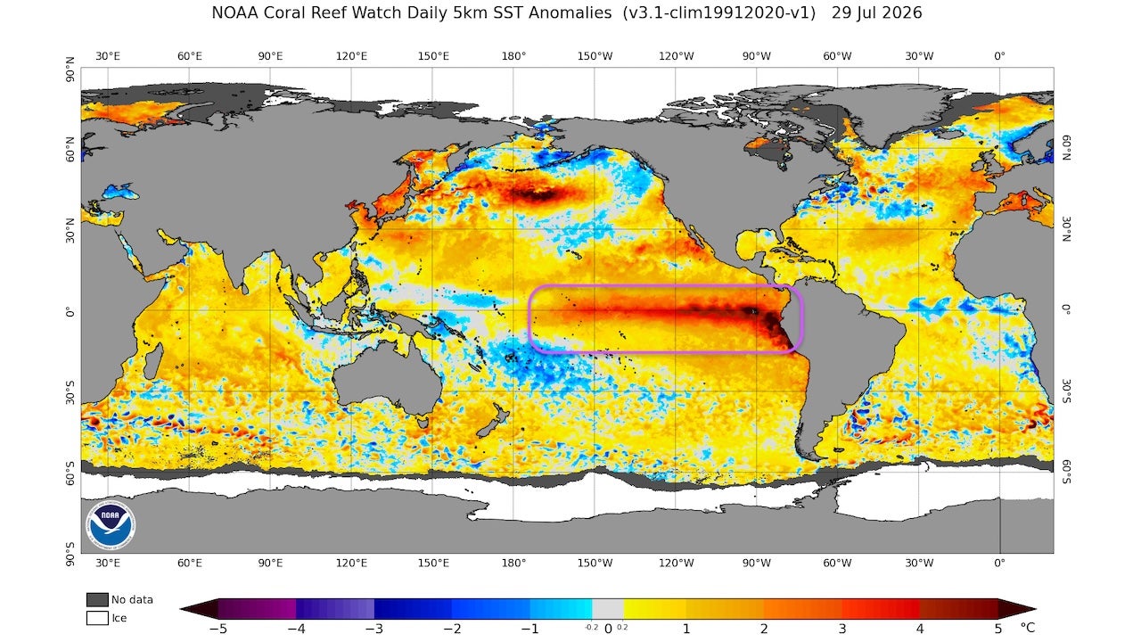 El Ni&ntilde;o SSTs late July 2026