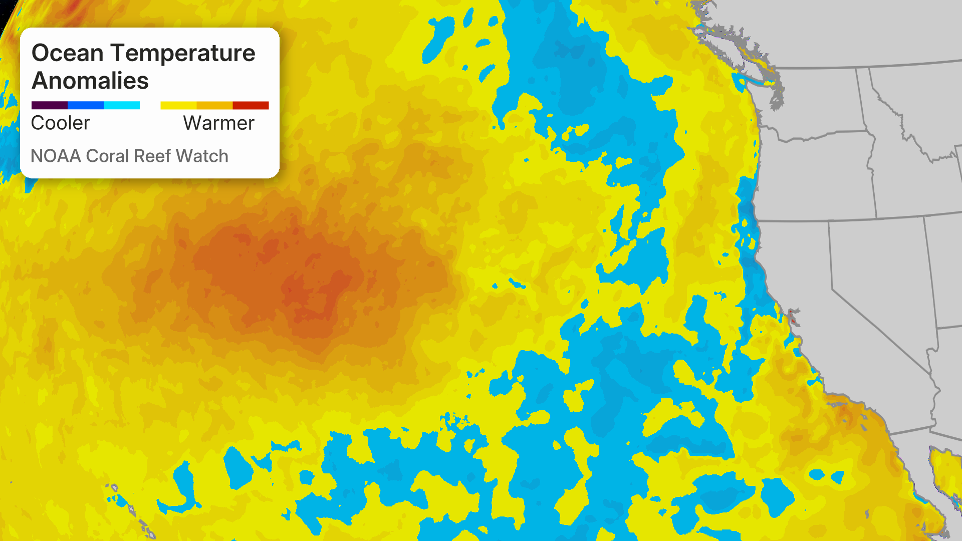NOAA ocean temperature anomaly map showing cooler blue areas and warmer yellow-to-red regions off the Pacific Coast.
