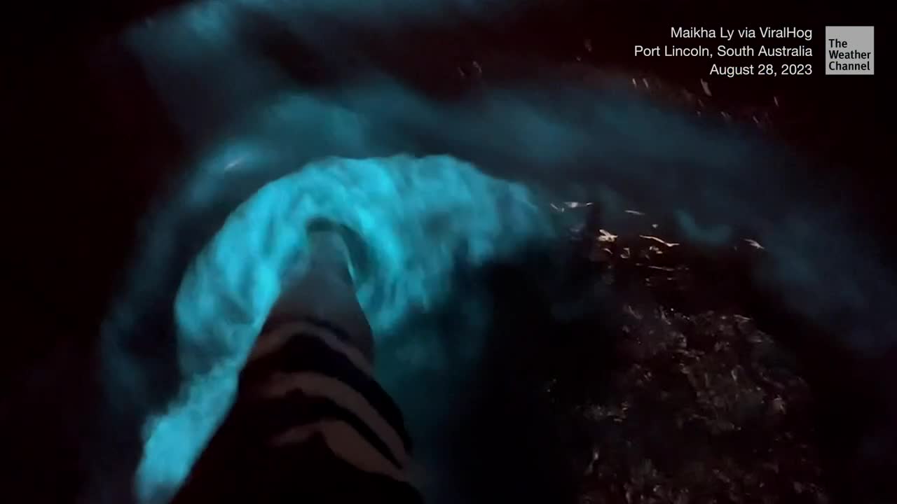 Every Step Glows In This Surreal-Looking Water