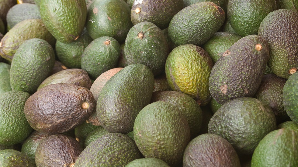 Everyday Items Have Surprisingly Negative Effects on the Environment