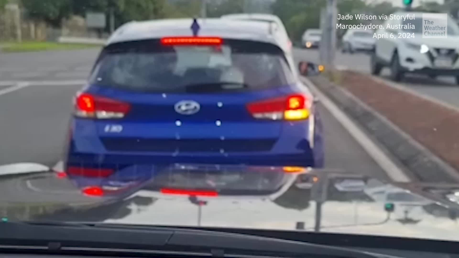 Excited Dog Chases Windshield Wiper