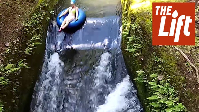 Exploring Rainforest on Kauai