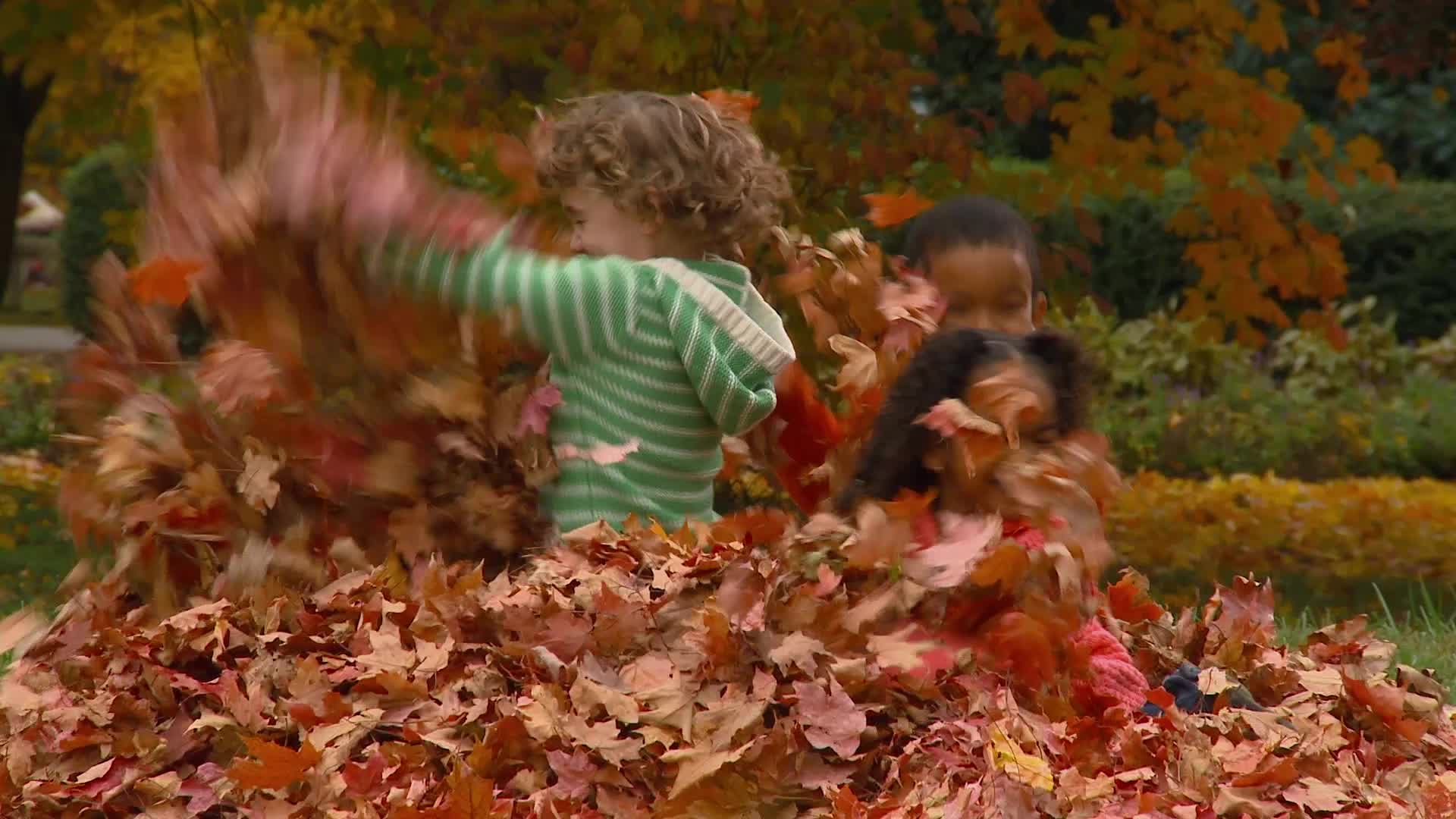 Fall Equinox: Explained