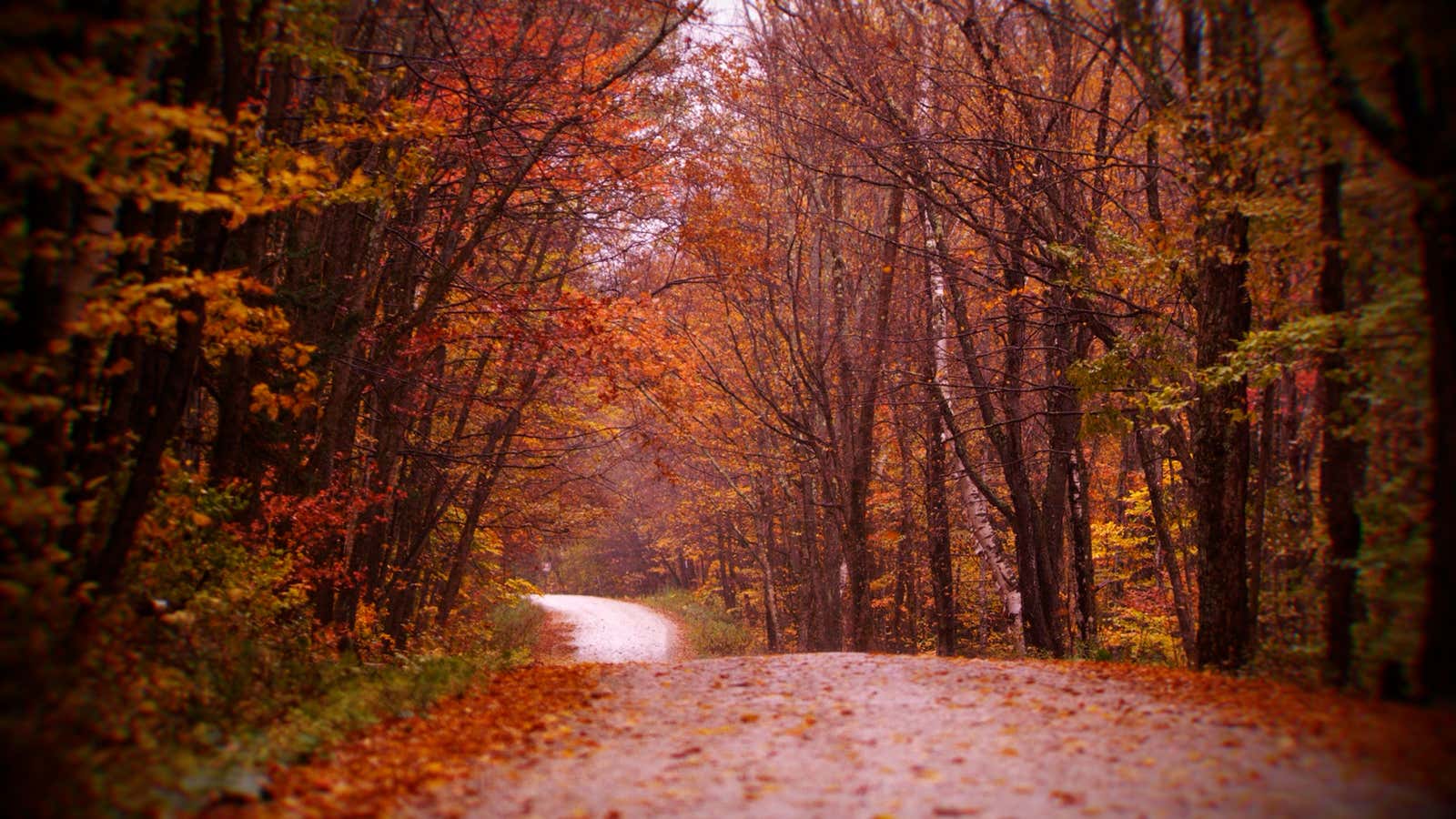 Fall foliage hidden gems: the best lesser known spots in your region
