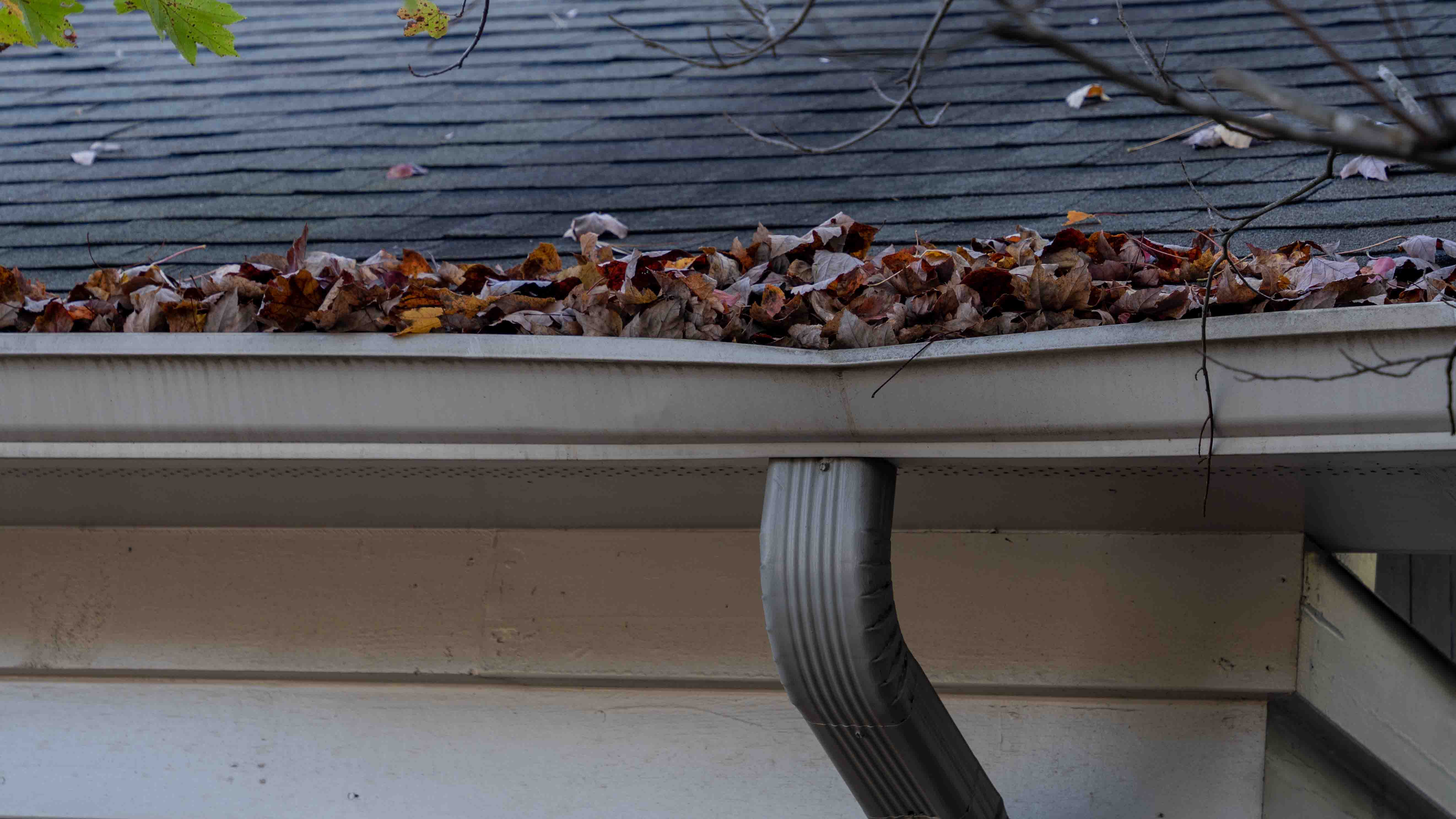 House gutter corner clogged with dry autumn leaves beneath a shingled roof and downspout