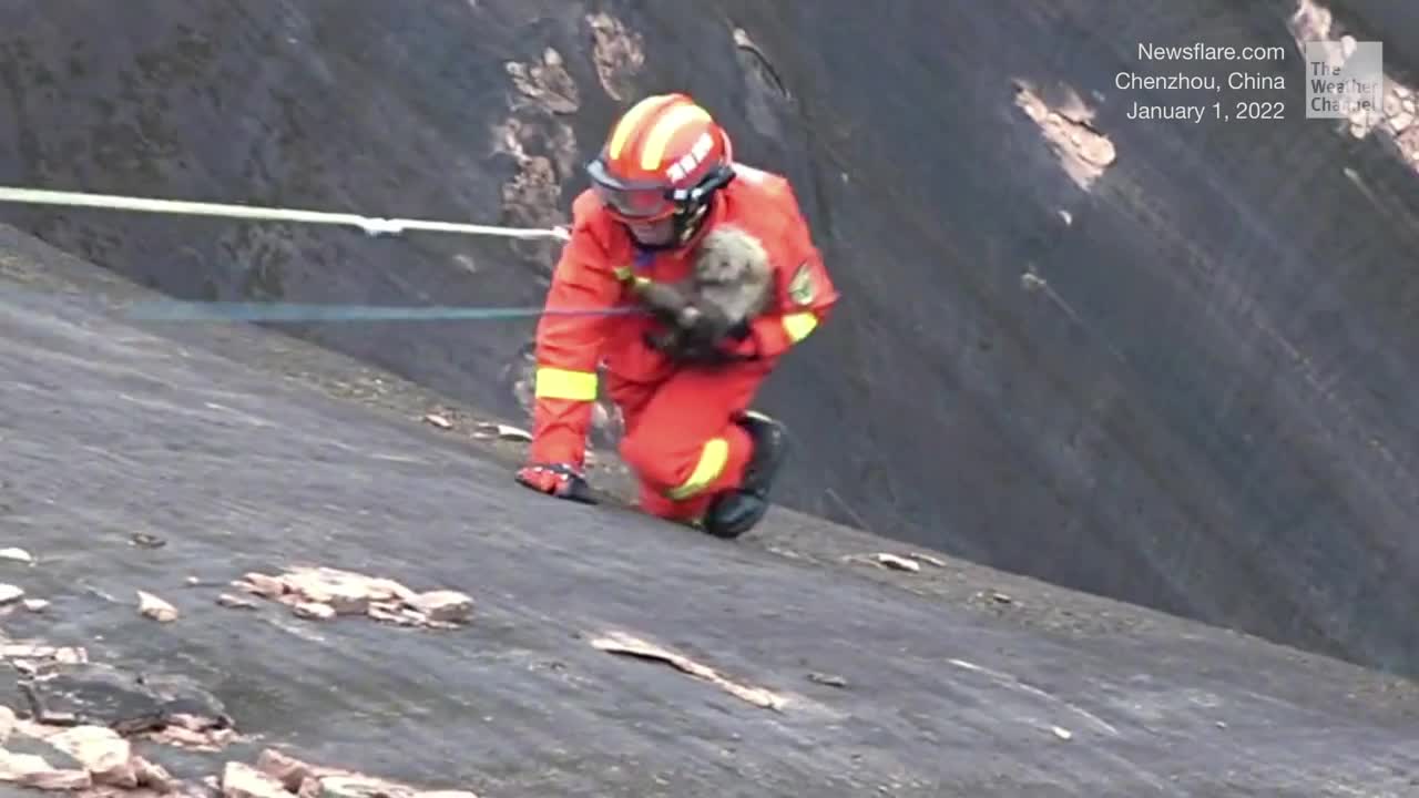Firefighters Rescue Dog Stranded on Cliff in China
