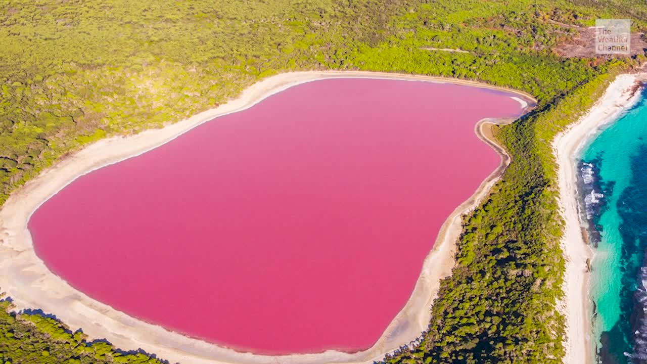 Five Barbie Pink Places For The Theme Of The Summer