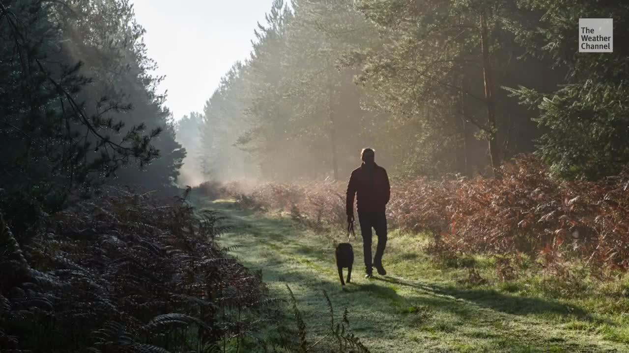 Five Best Dog Breeds For Outdoor Adventures