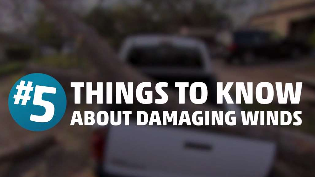 Five Life-Saving Facts About High Wind