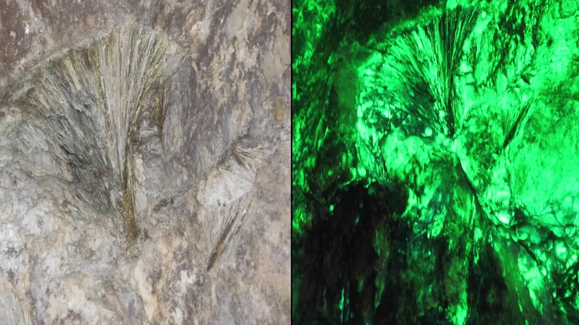 Flick Of A Switch Turns Cave Into Psychedelic Display