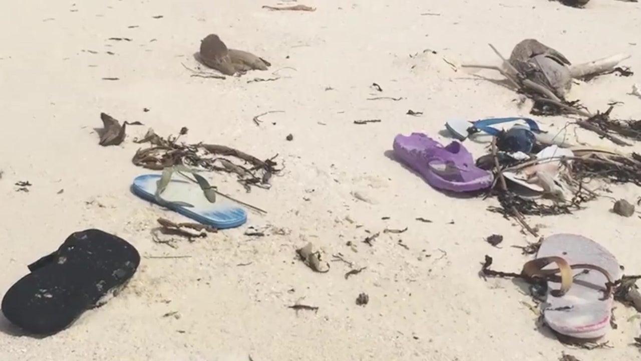 Flip Flops Made from Algae Oil