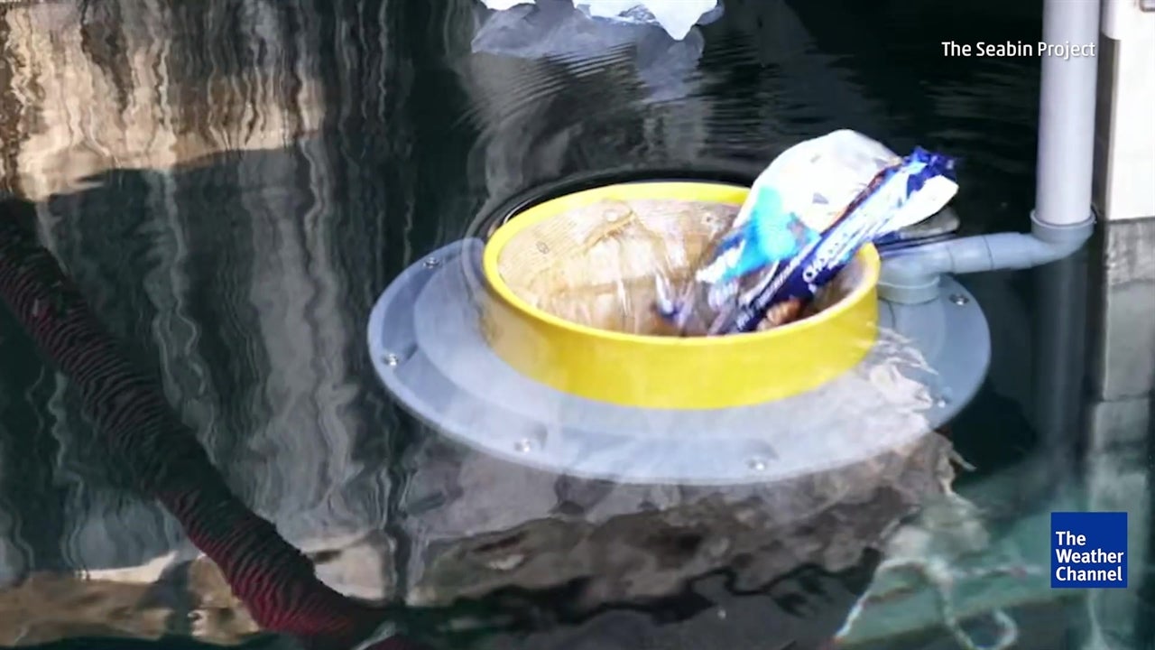 Floating Bin Collects Ocean Trash