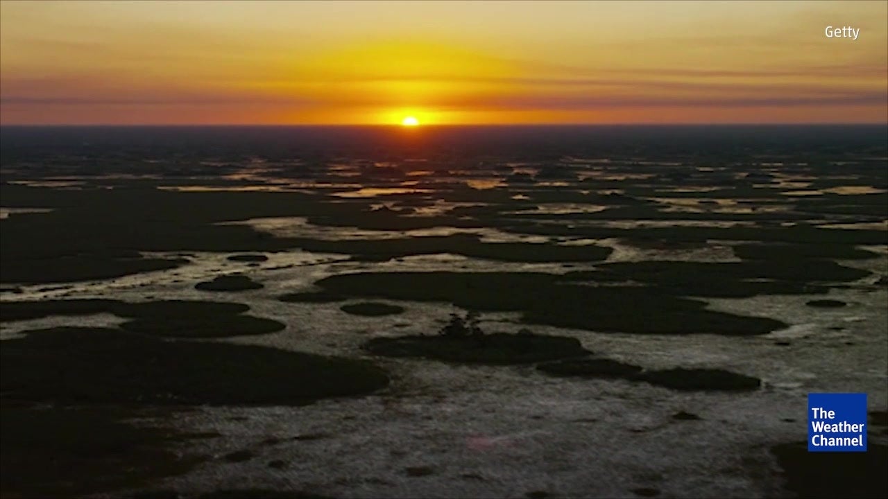 Florida Everglades Critically Endangered?