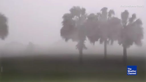 Florida’s Wet Season, Shorter but More Intense