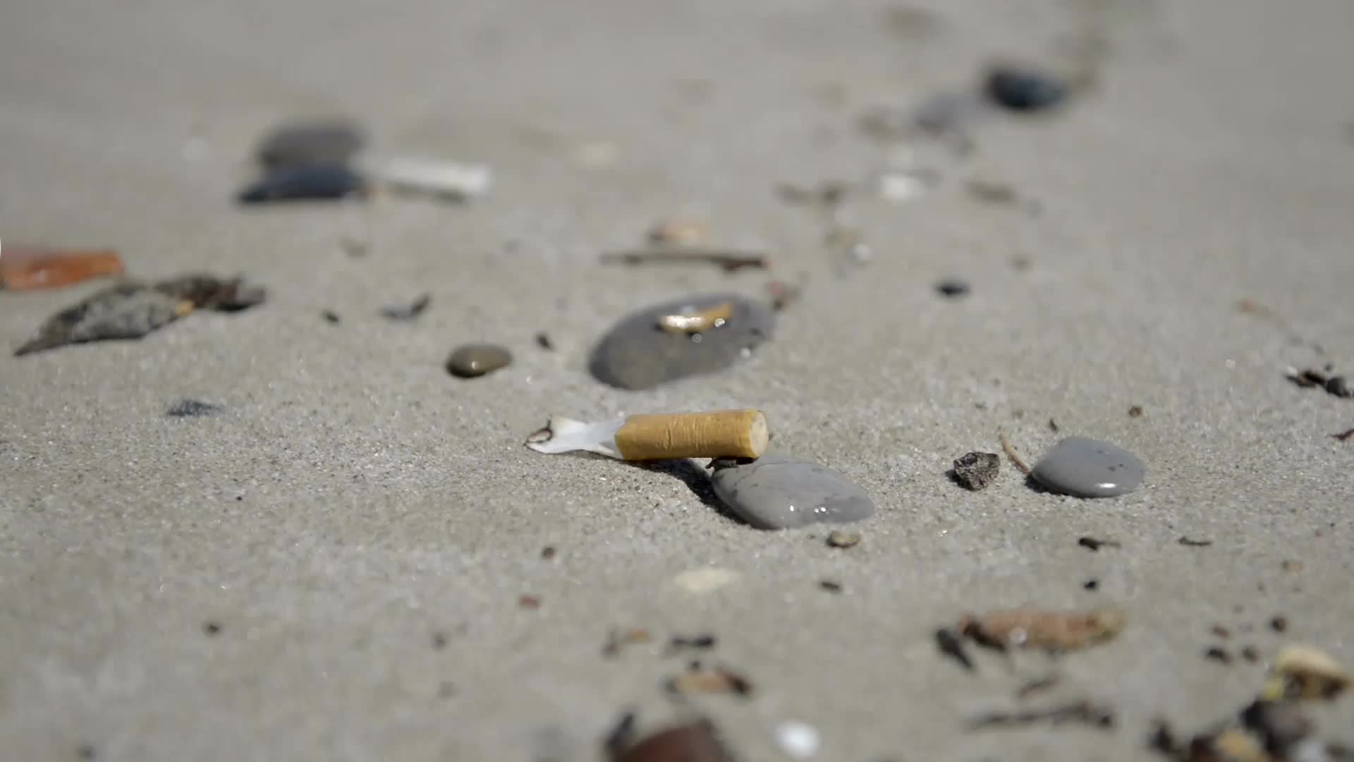 Food Wrappers Surpass Cigarette Butts as Most Common Beach Trash