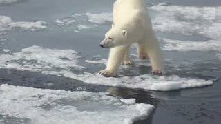 Fossil Fuel Phaseout Could Limit Global Warming