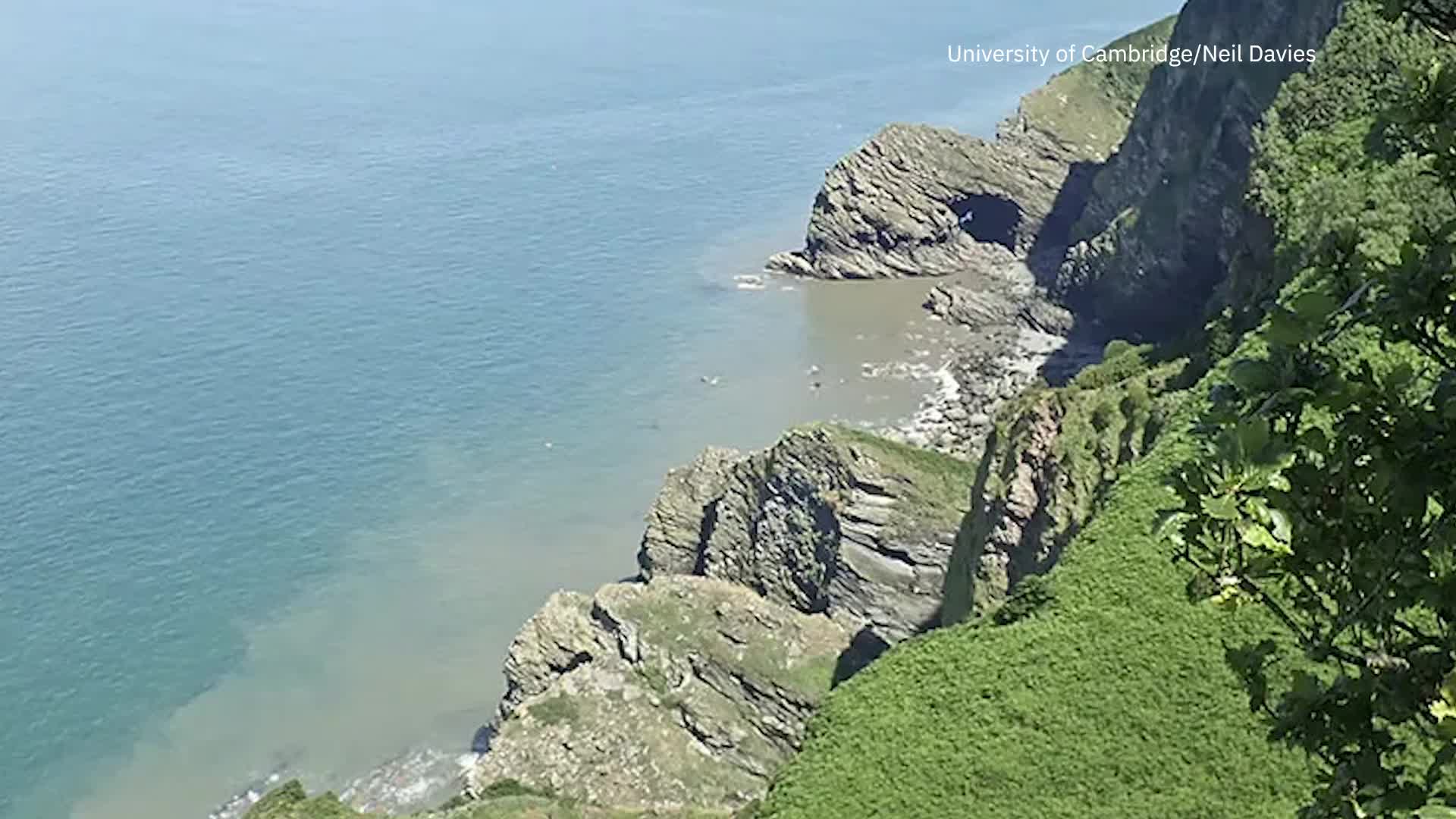 Fossils From Oldest Forest On Earth Discovered In England