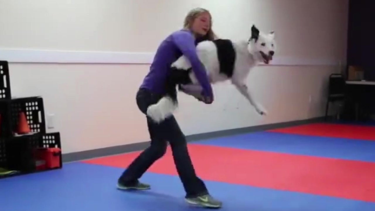 Four-Legged Fun in Dog’s Dance Routine