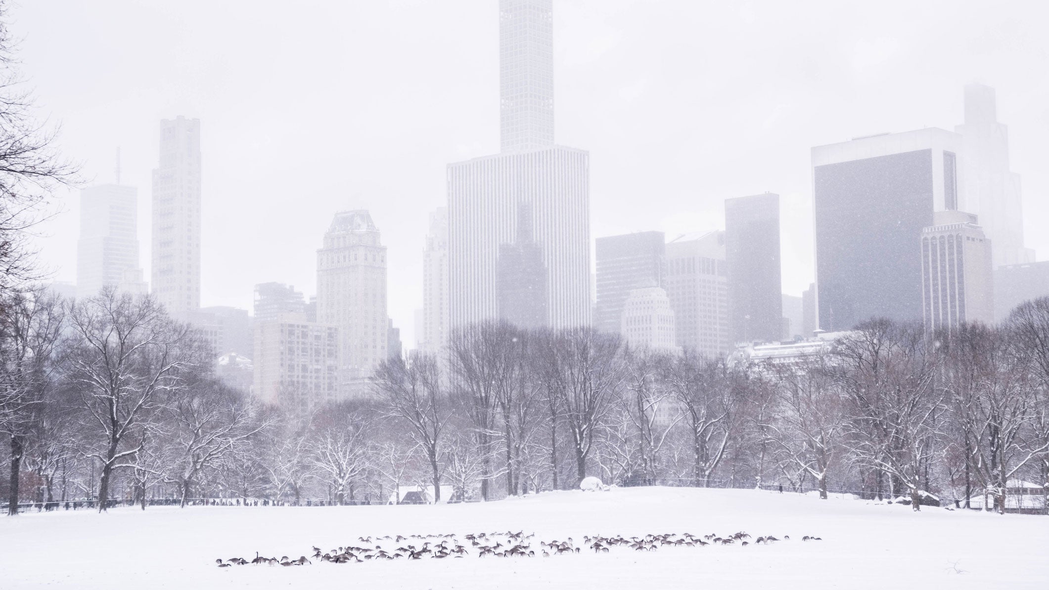 Your city's first freeze comes nearly a month later than the suburbs